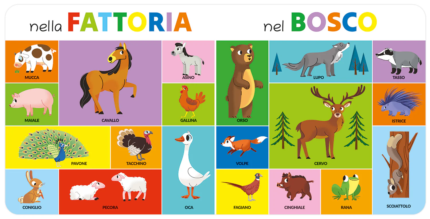 Immagine prodotto 3