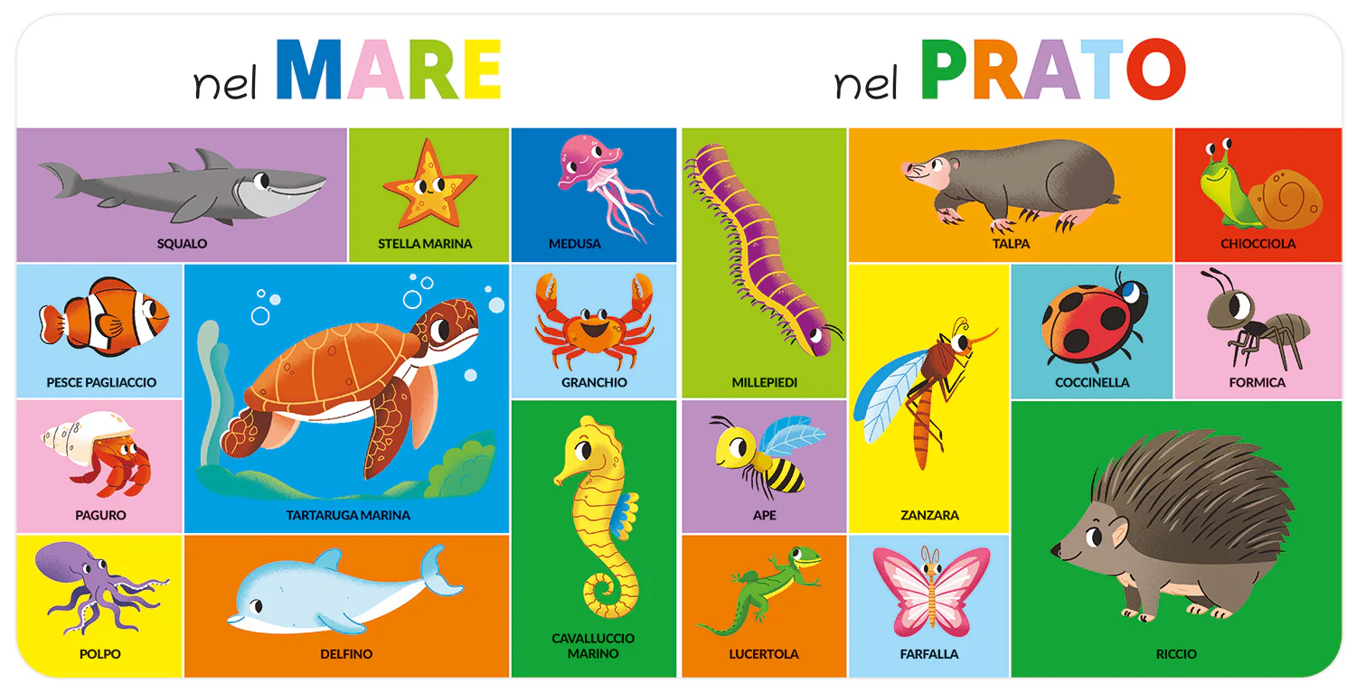 Immagine prodotto 4