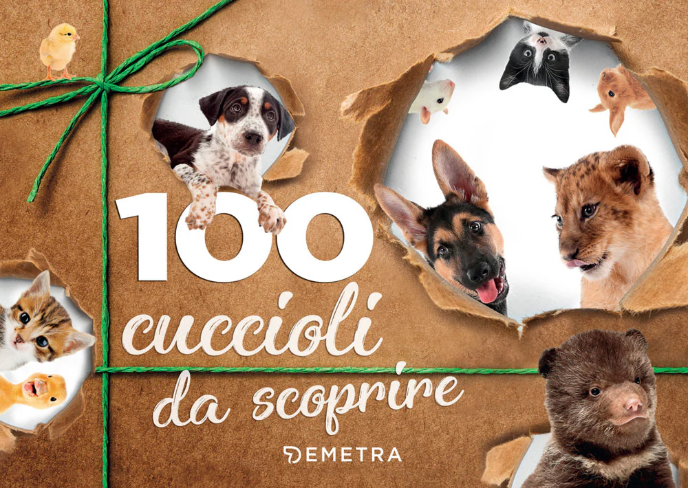 Immagine prodotto 1