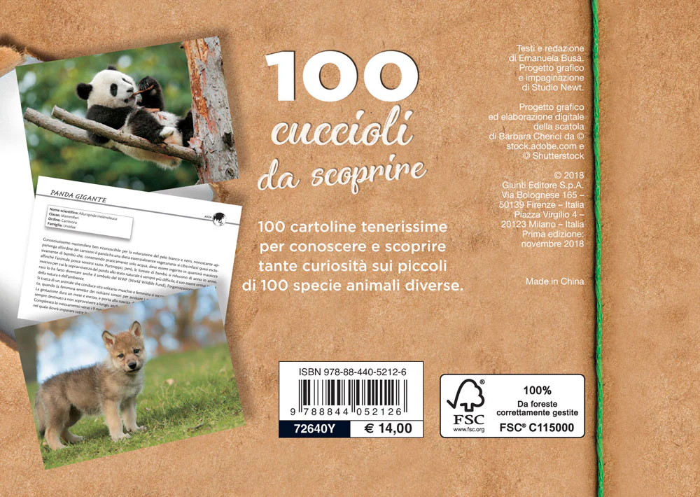 Immagine prodotto 2