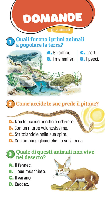 Immagine prodotto 3