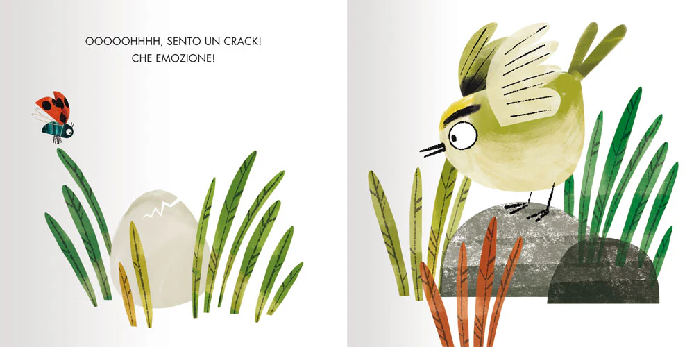 Immagine prodotto 5