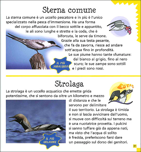 Immagine prodotto 3