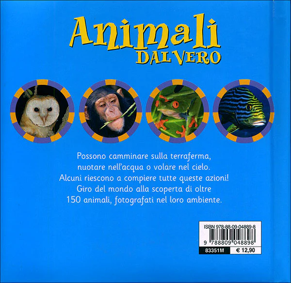 Immagine prodotto 2