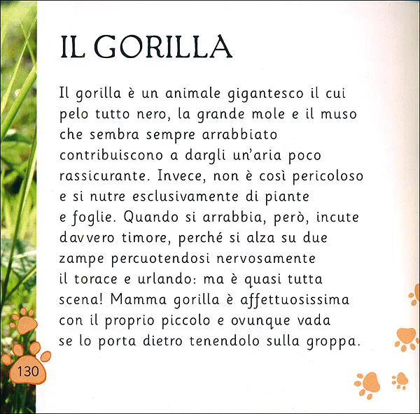 Immagine prodotto 4