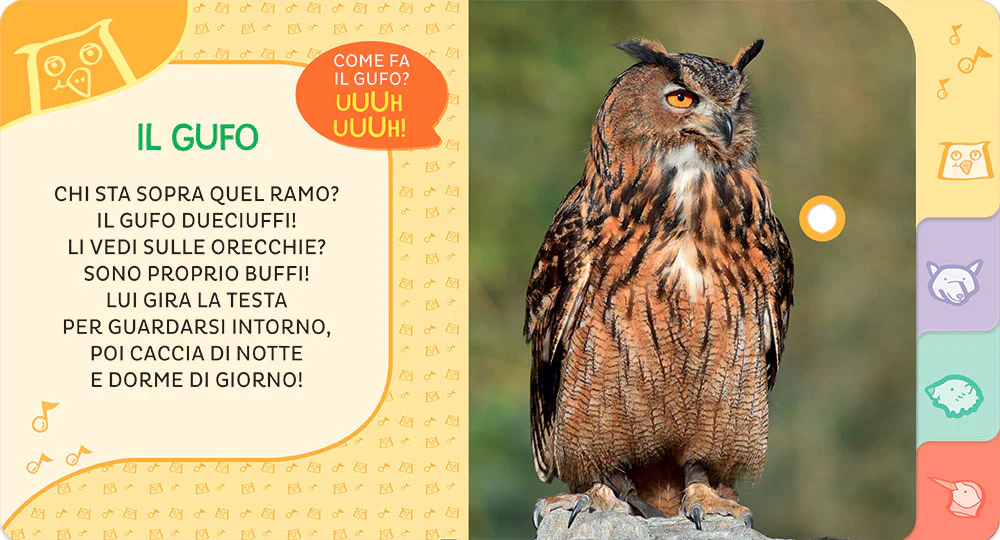 Immagine prodotto 5