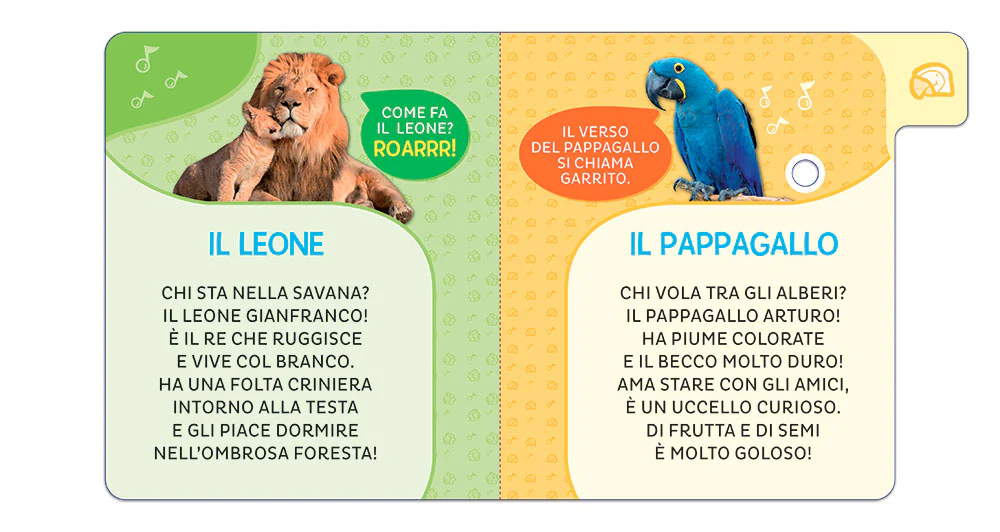 Immagine prodotto 4