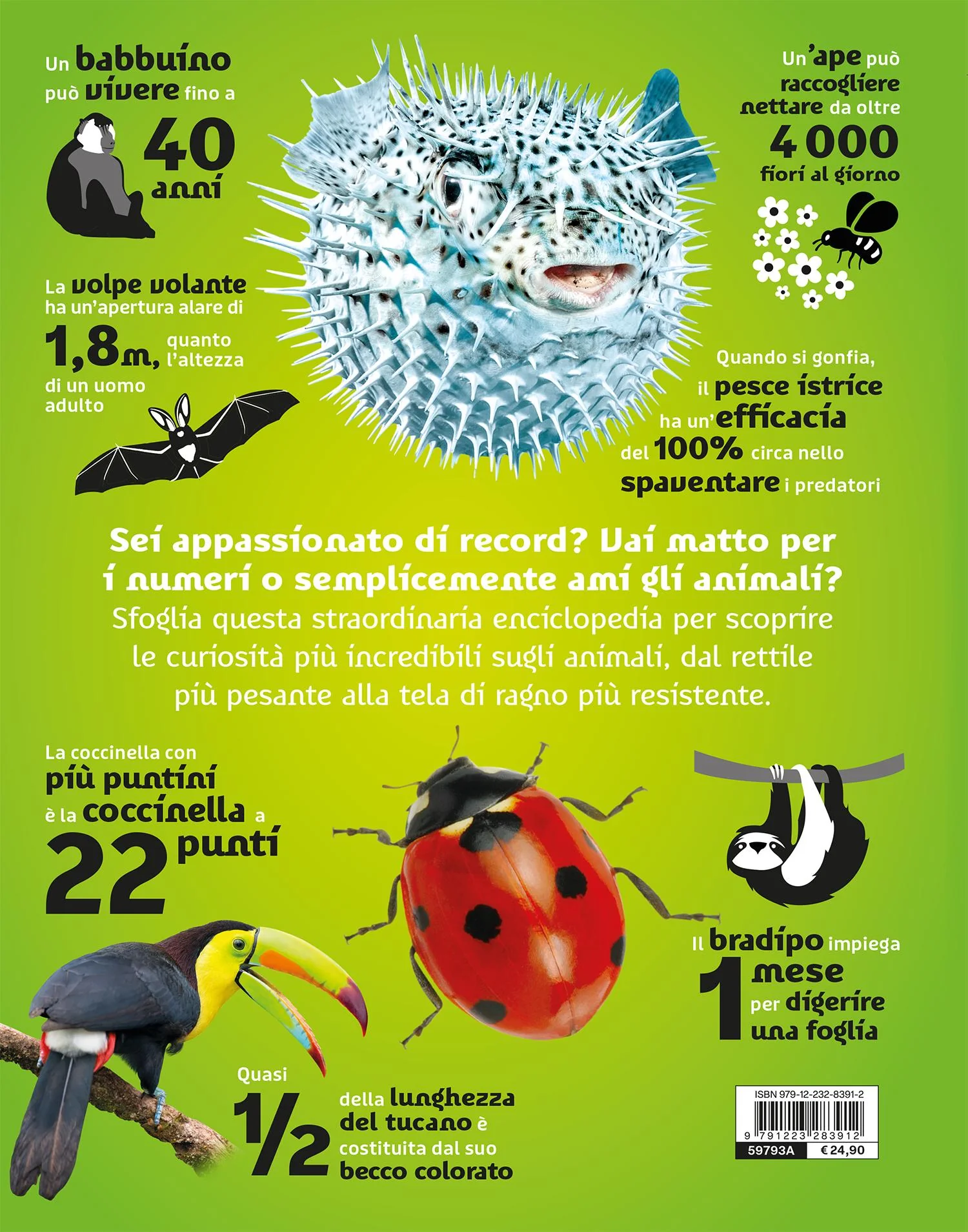 Immagine prodotto 2