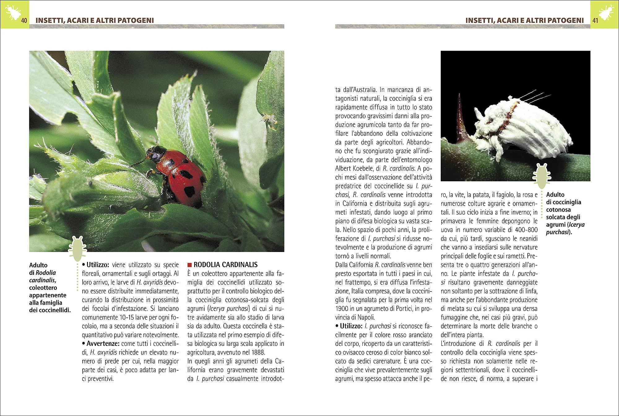 Immagine prodotto 4