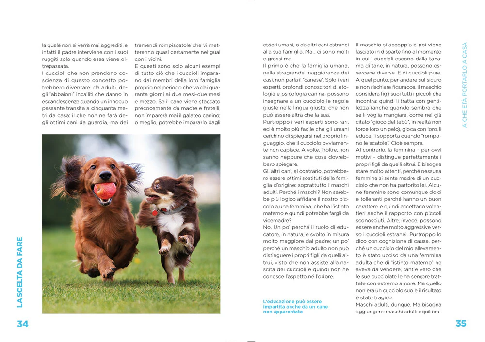 Immagine prodotto 5