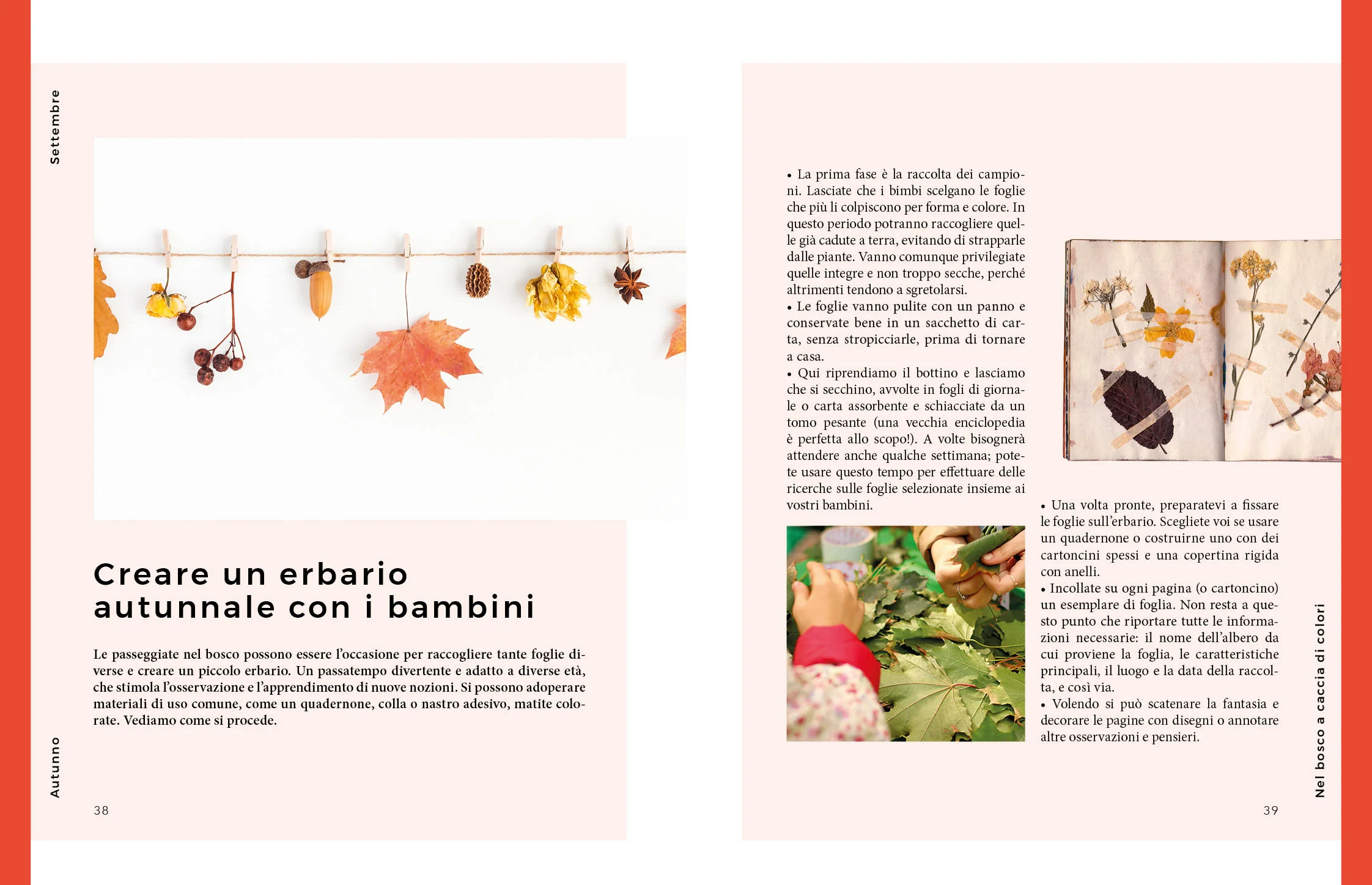 Immagine prodotto 5