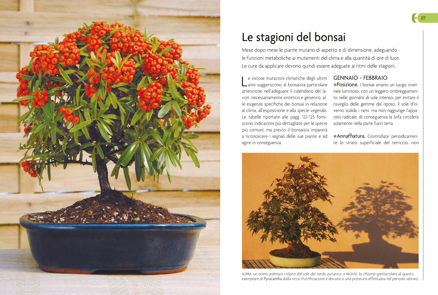 Immagine prodotto 5