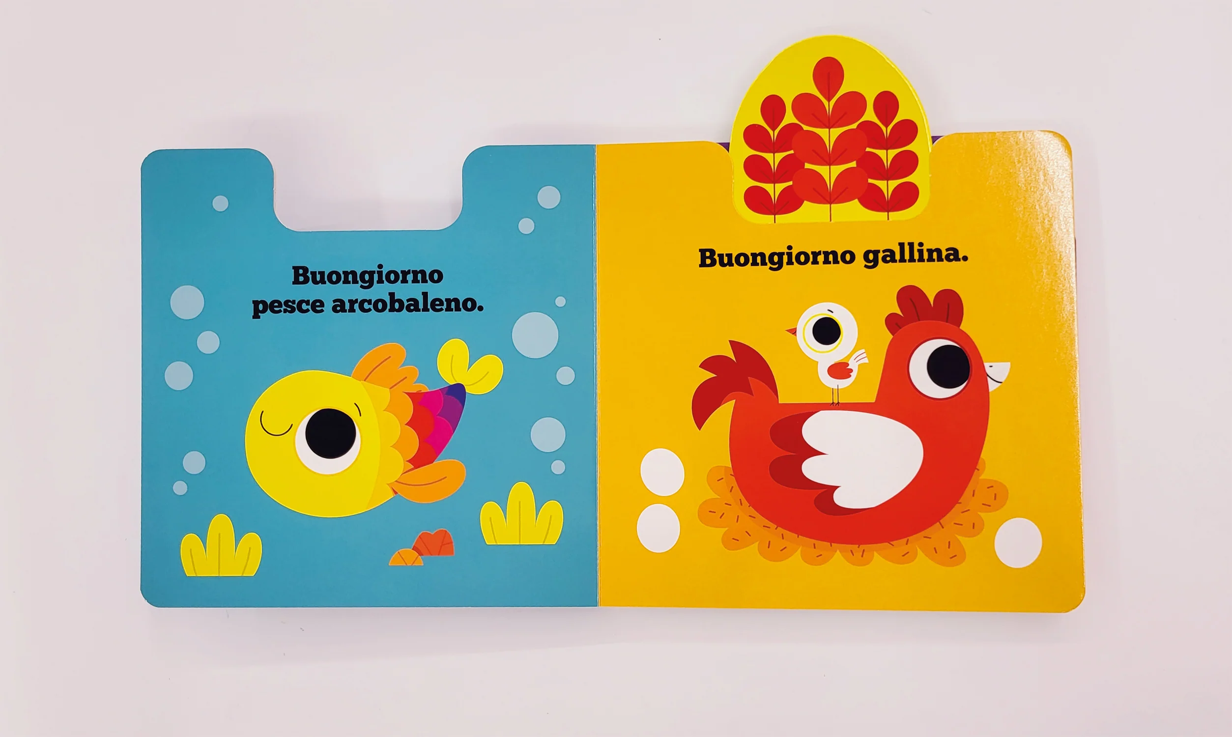 Immagine prodotto 4