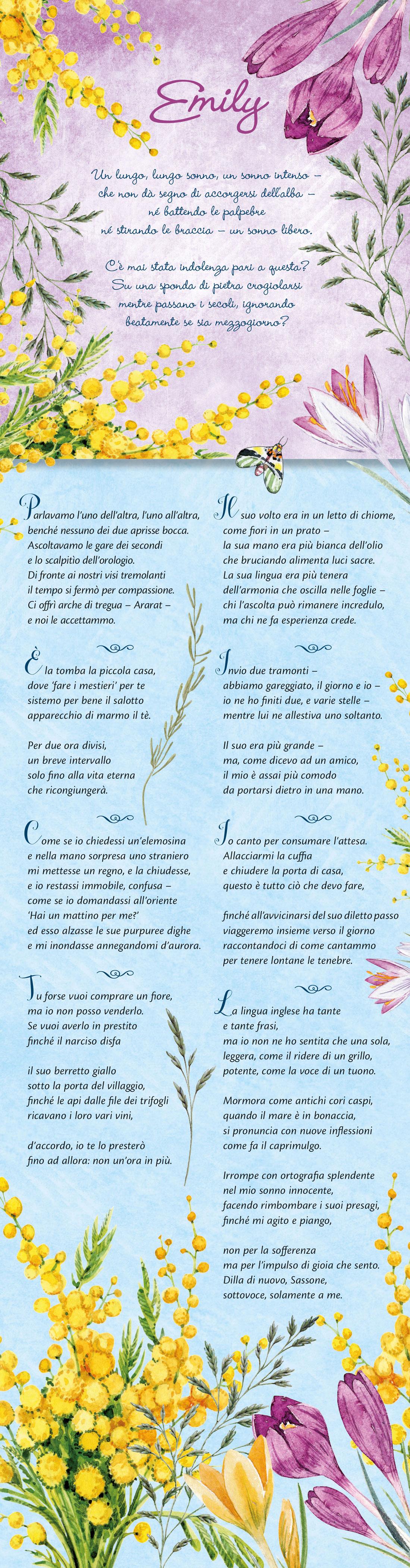 Immagine prodotto 3