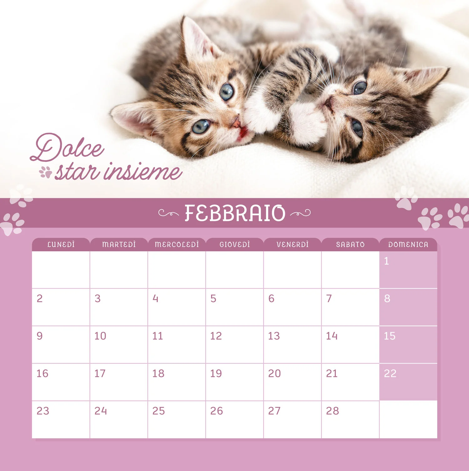 Immagine prodotto 3