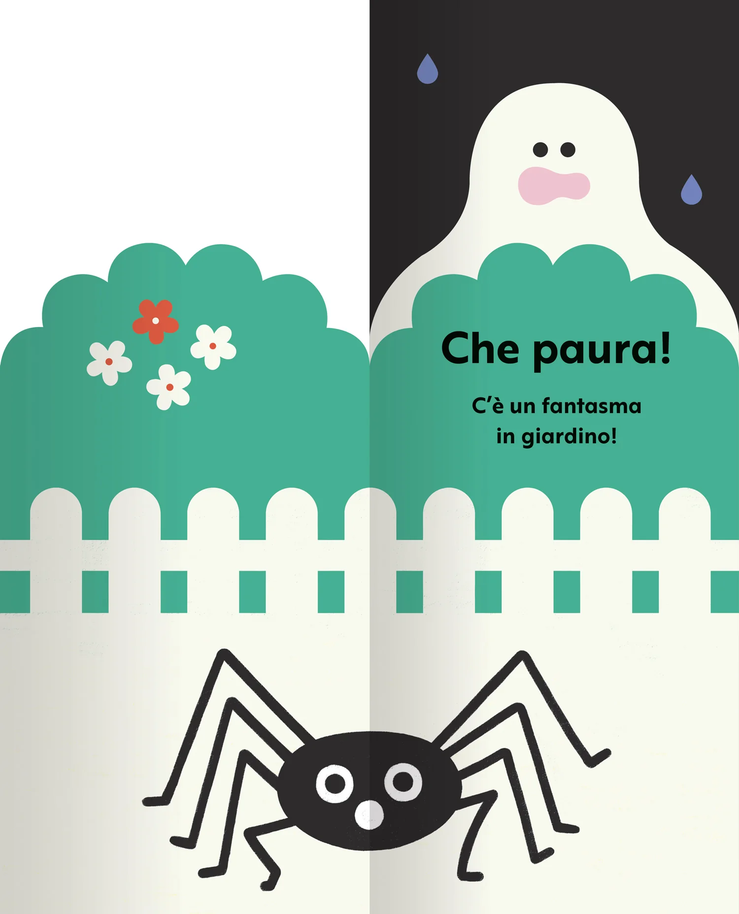 Immagine prodotto 4