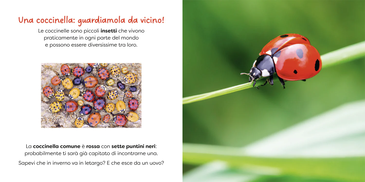 Immagine prodotto 3