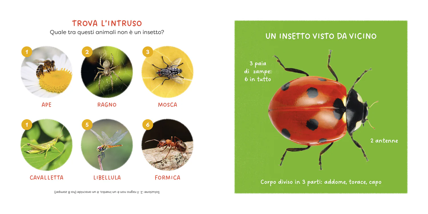 Immagine prodotto 5