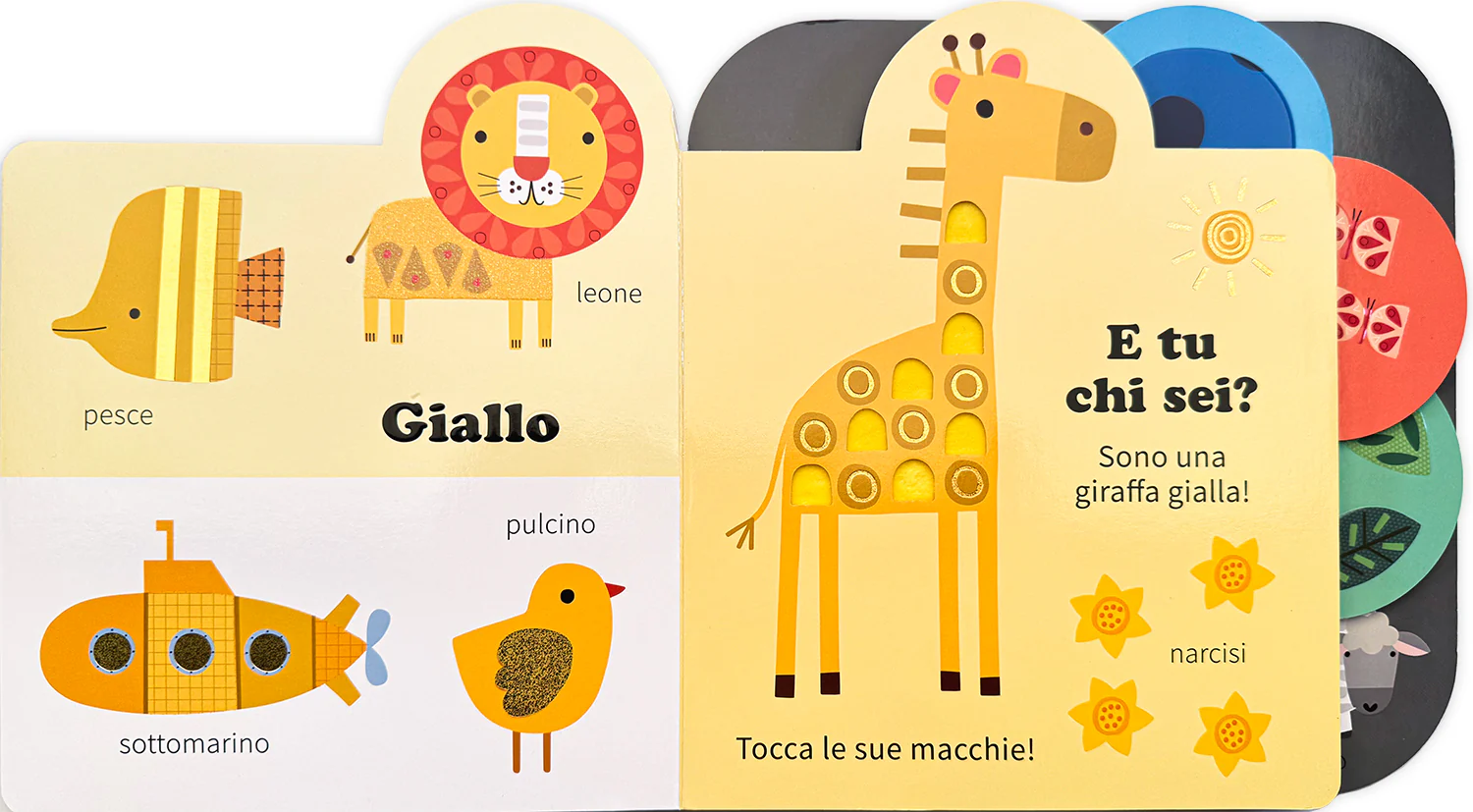 Immagine prodotto 2