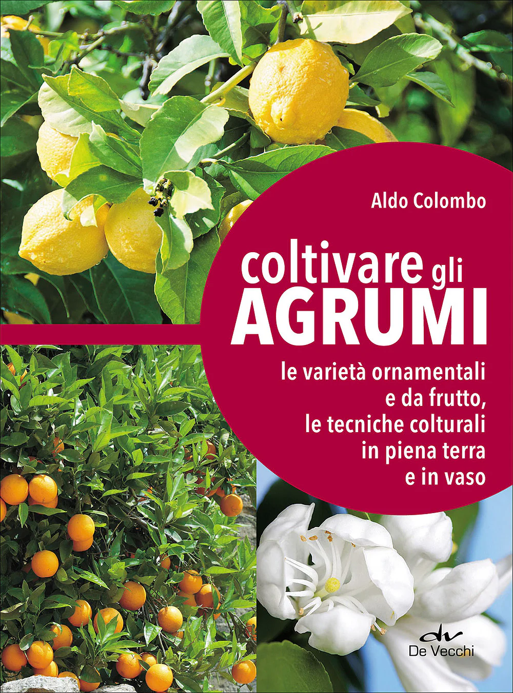 Immagine prodotto 1