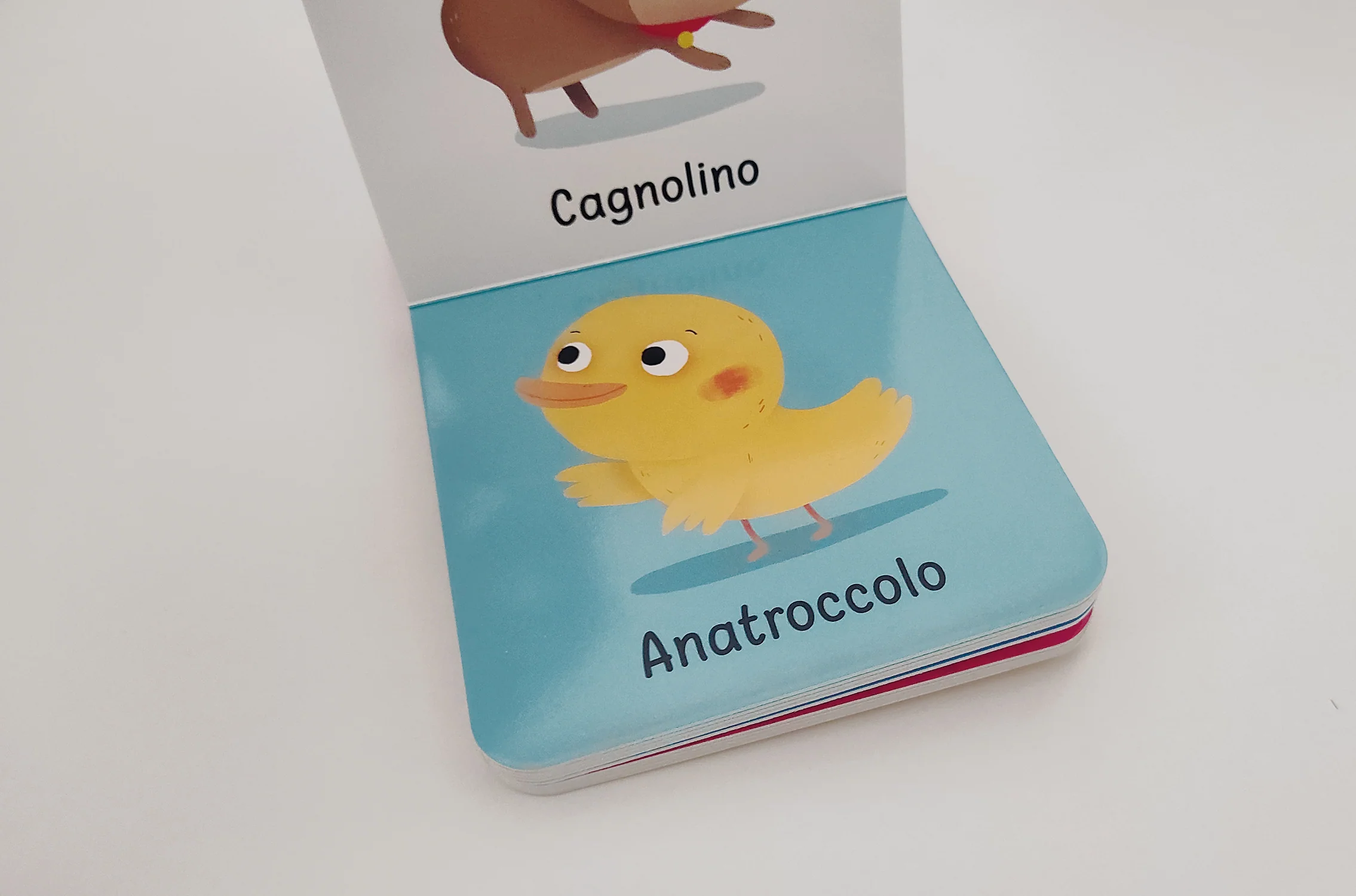 Immagine prodotto 4