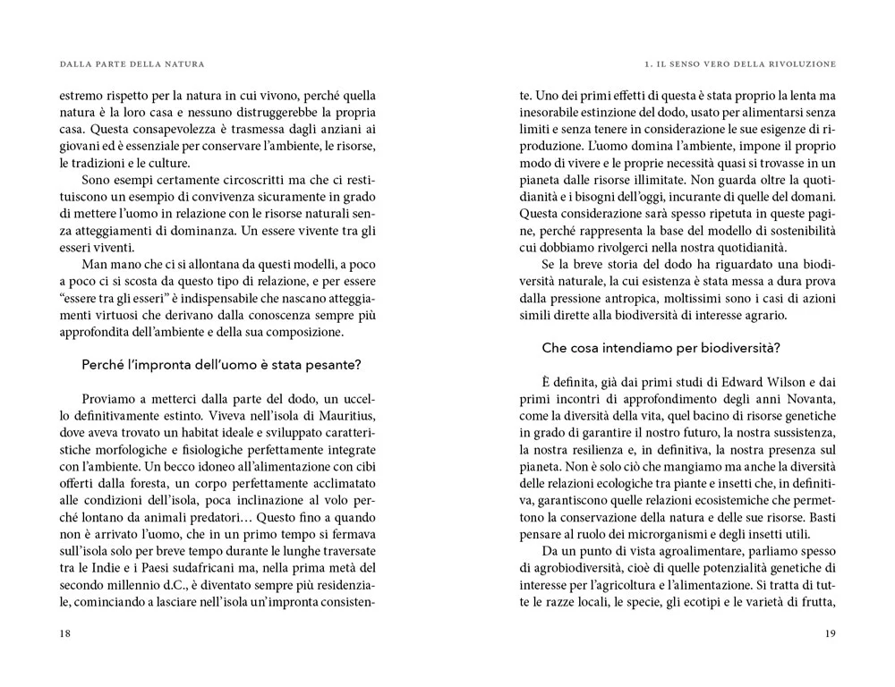 Immagine prodotto 6