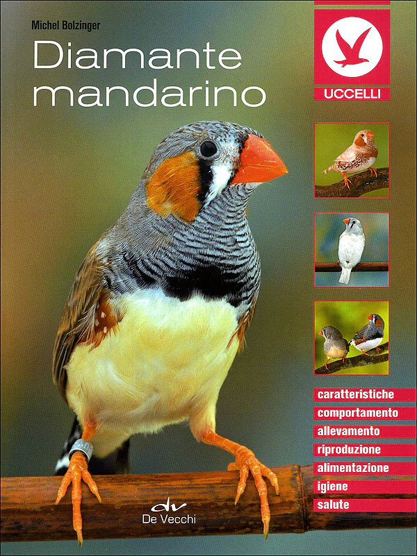 Immagine prodotto 1