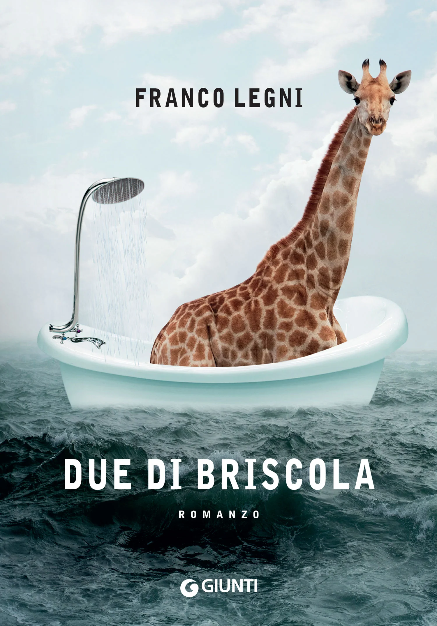 Immagine prodotto 1