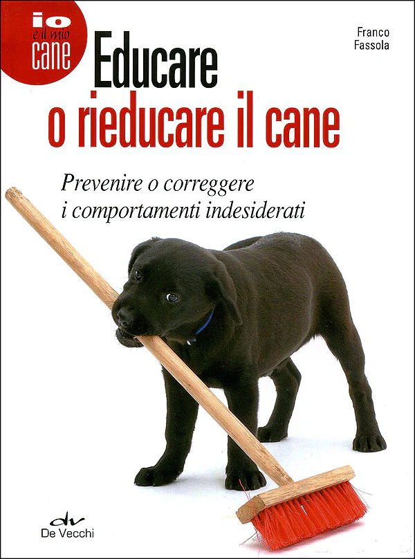 Immagine prodotto 1
