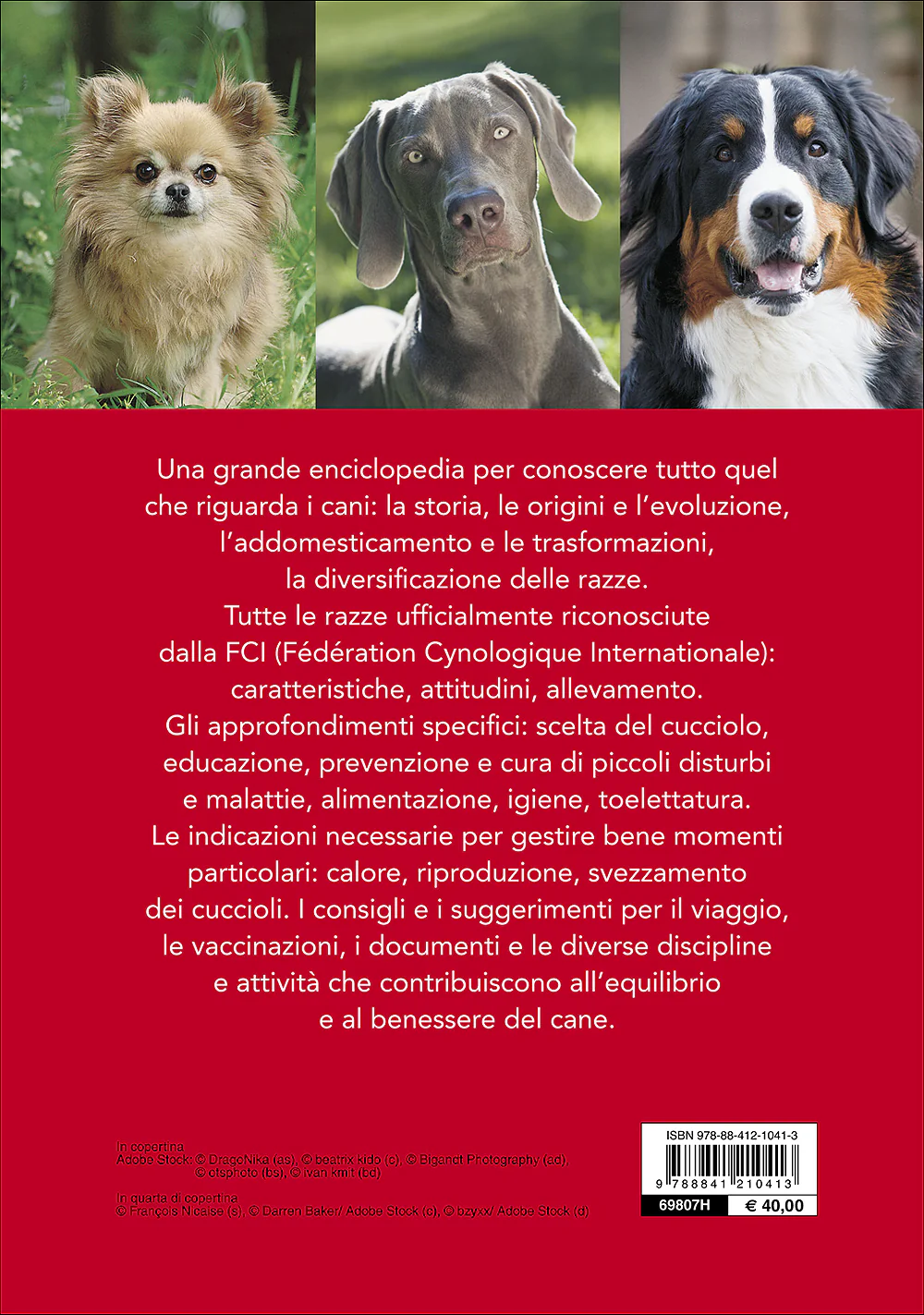 Immagine prodotto 2
