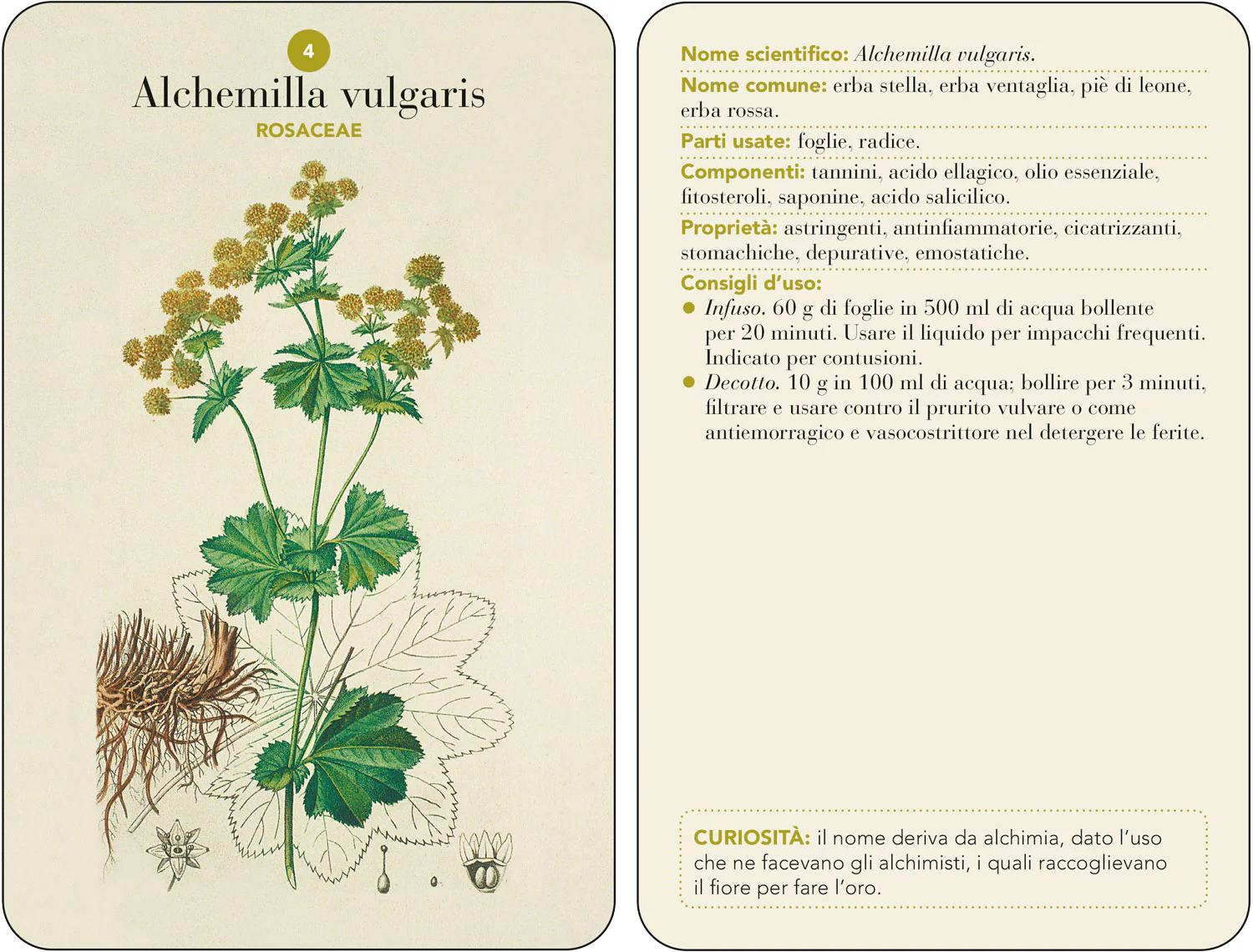 Immagine prodotto 3