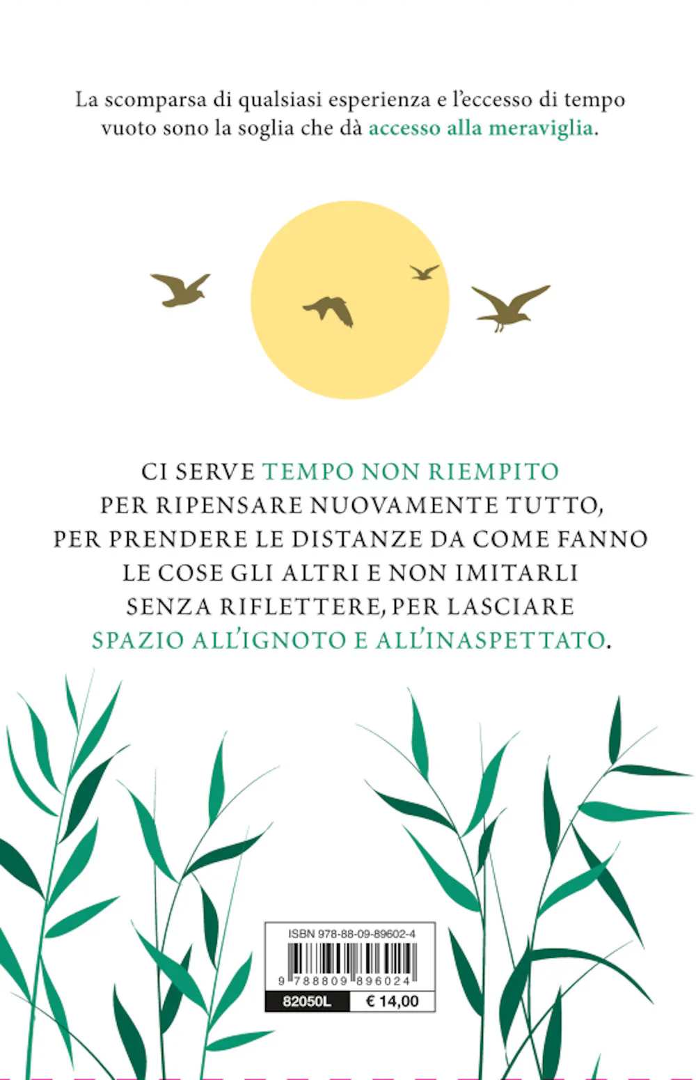 Immagine prodotto 2