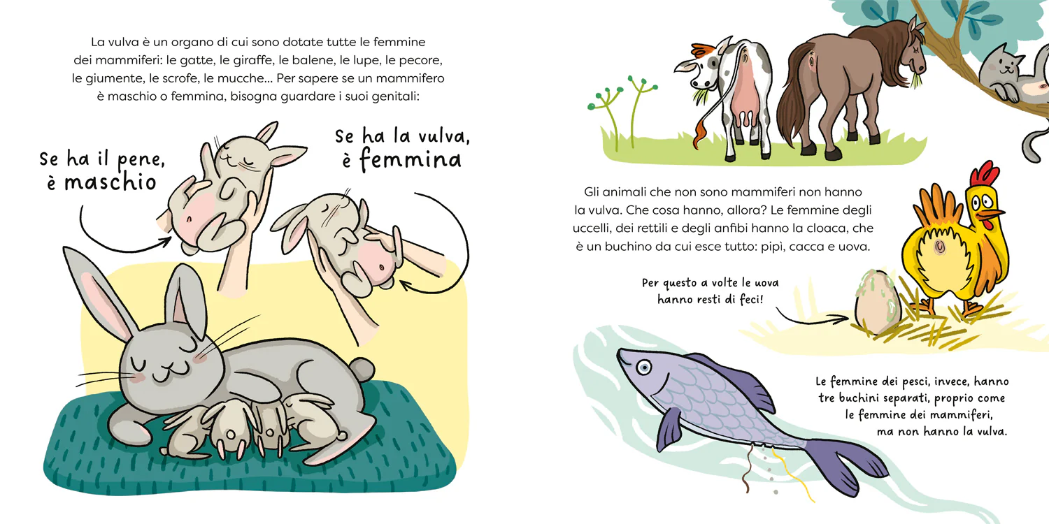 Immagine prodotto 4