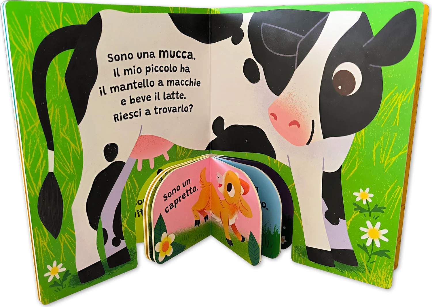 Immagine prodotto 3