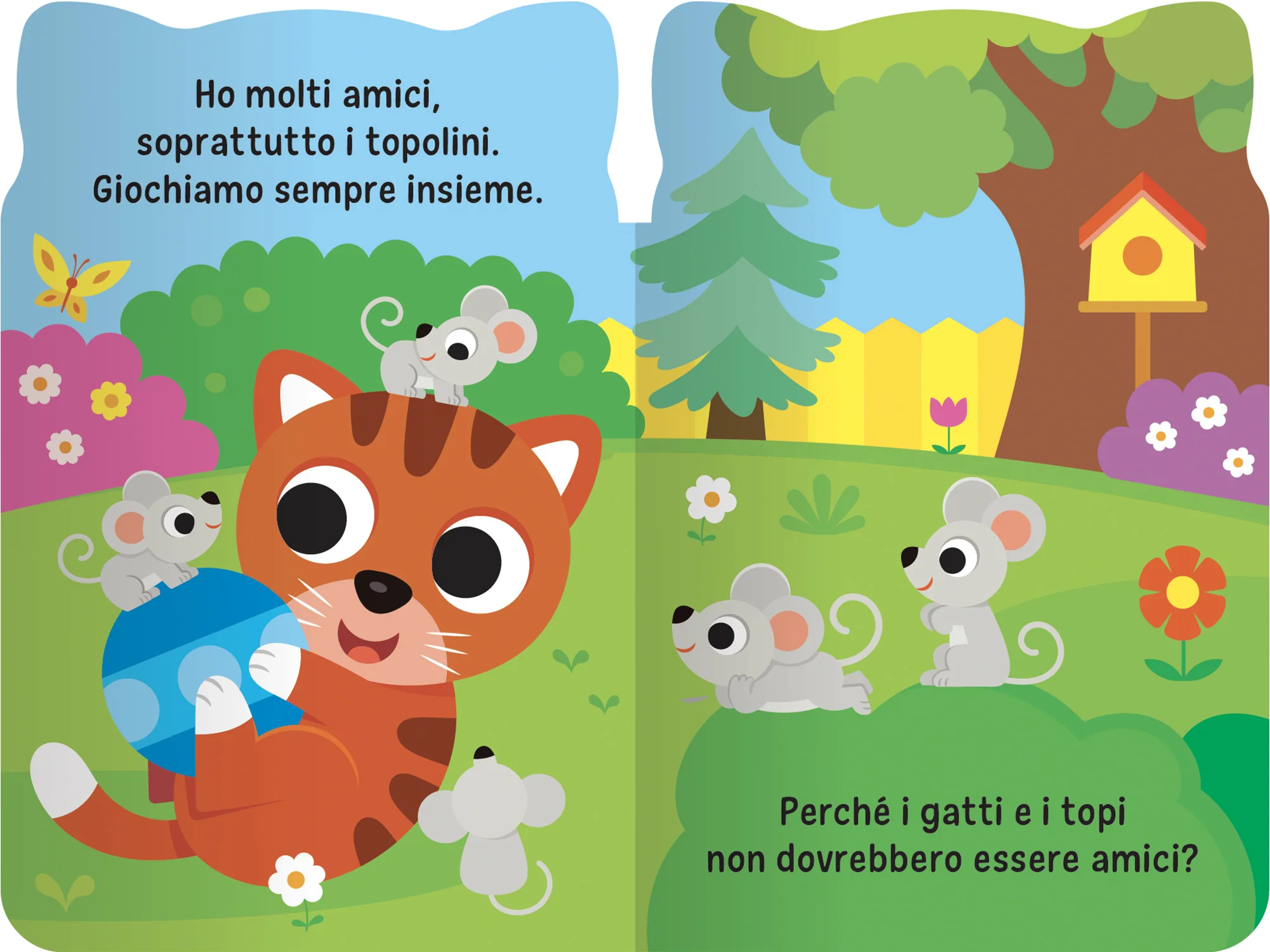 Immagine prodotto 4