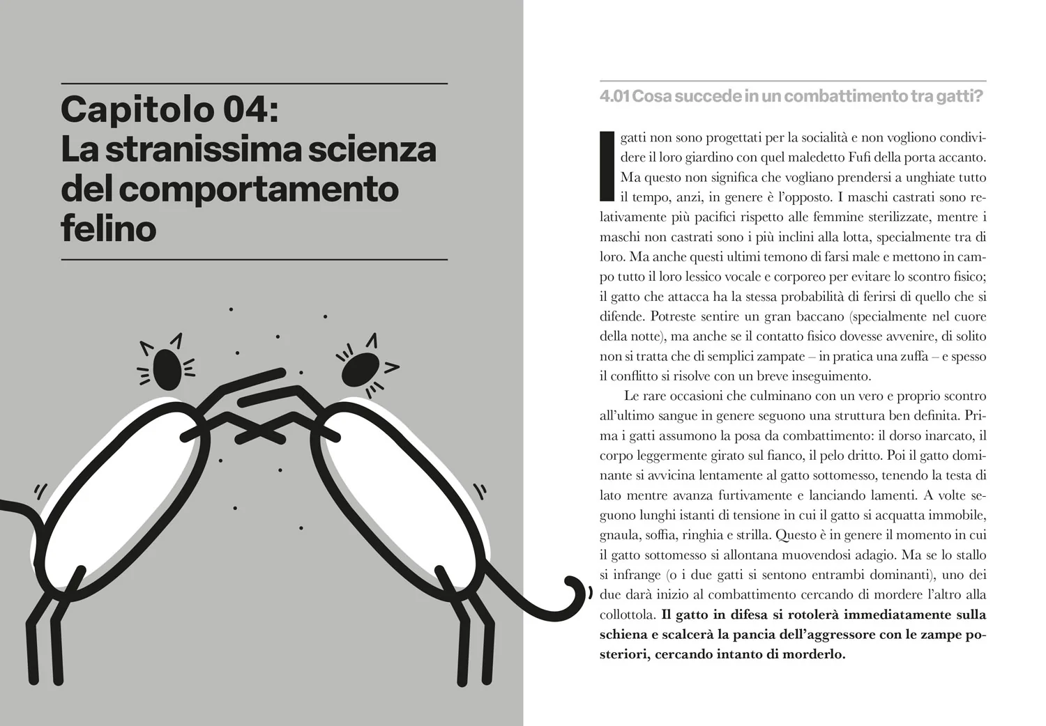 Immagine prodotto 5