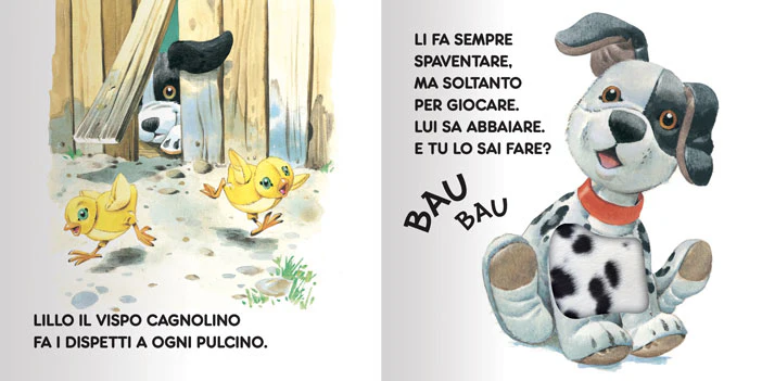 Immagine prodotto 5