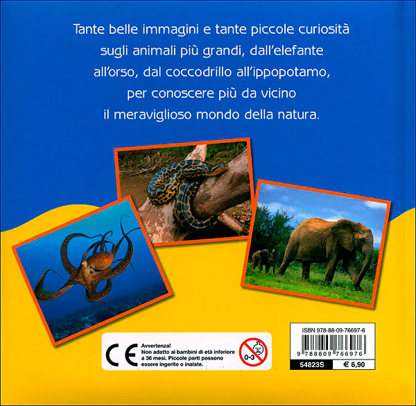 Immagine prodotto 2