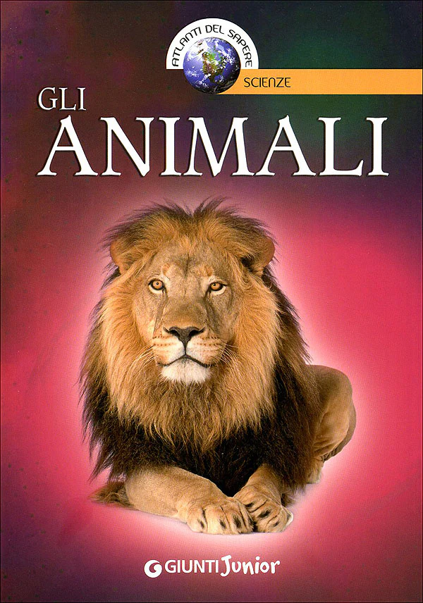 Immagine prodotto 1