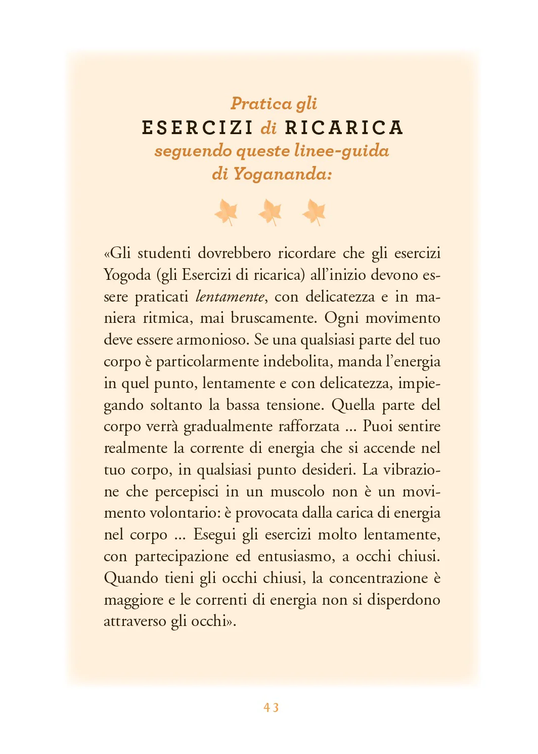 Immagine prodotto 5