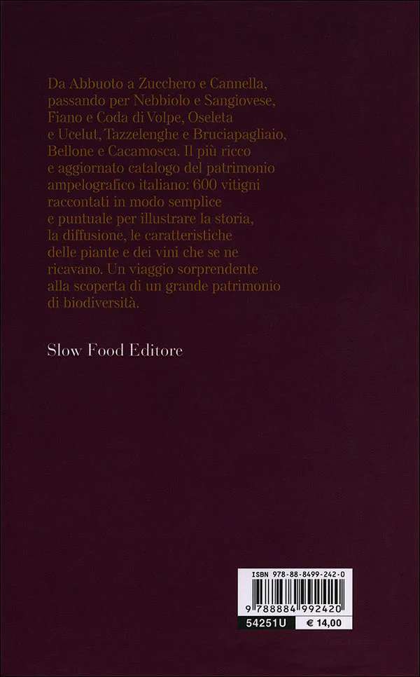 Immagine prodotto 2