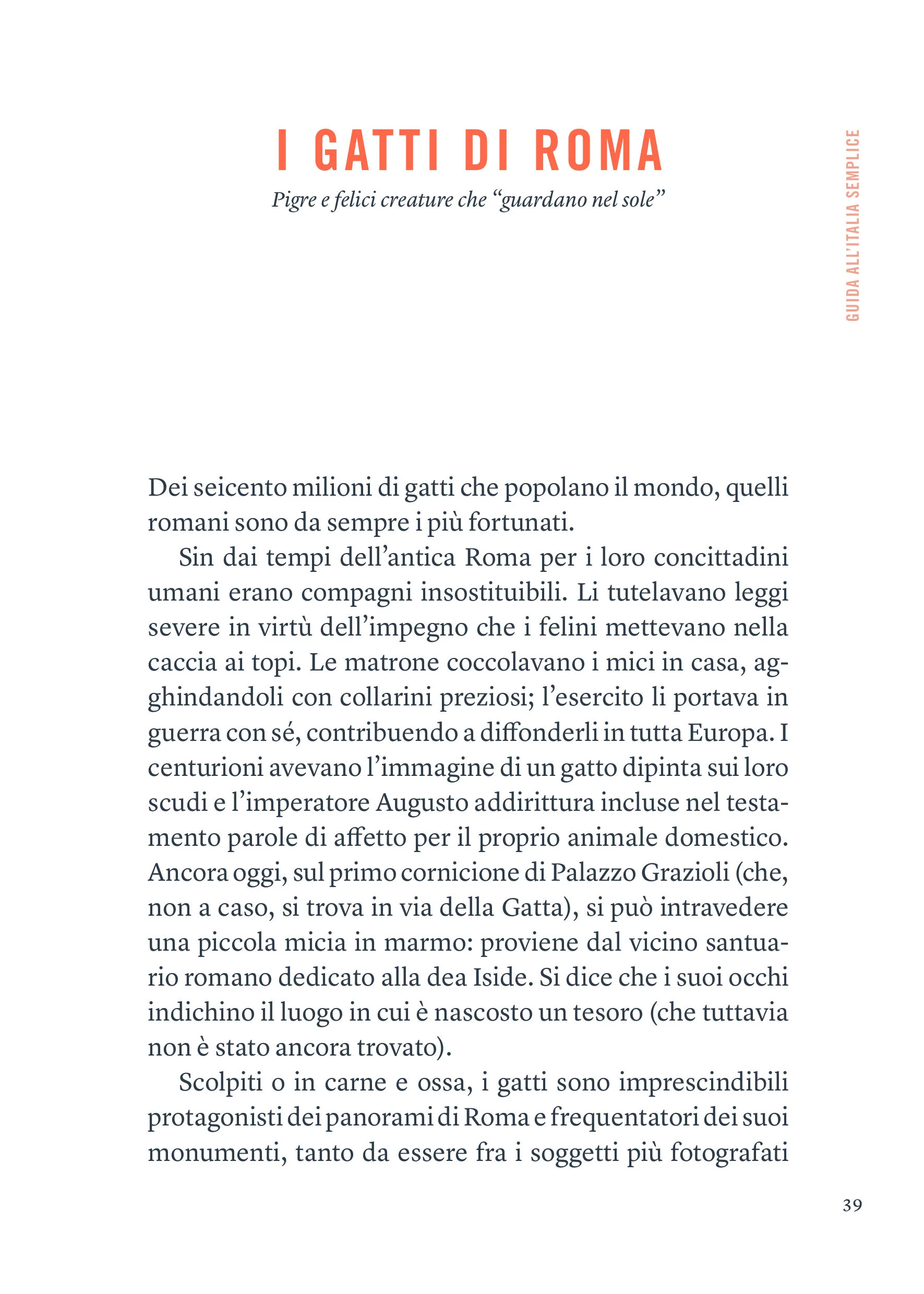 Immagine prodotto 3