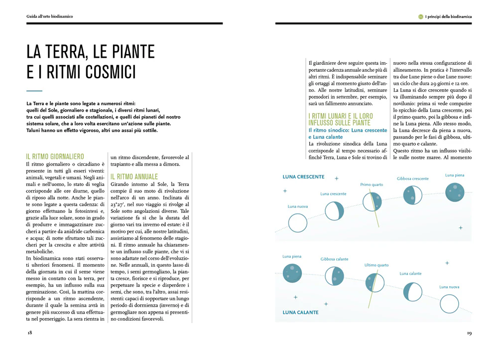Immagine prodotto 3