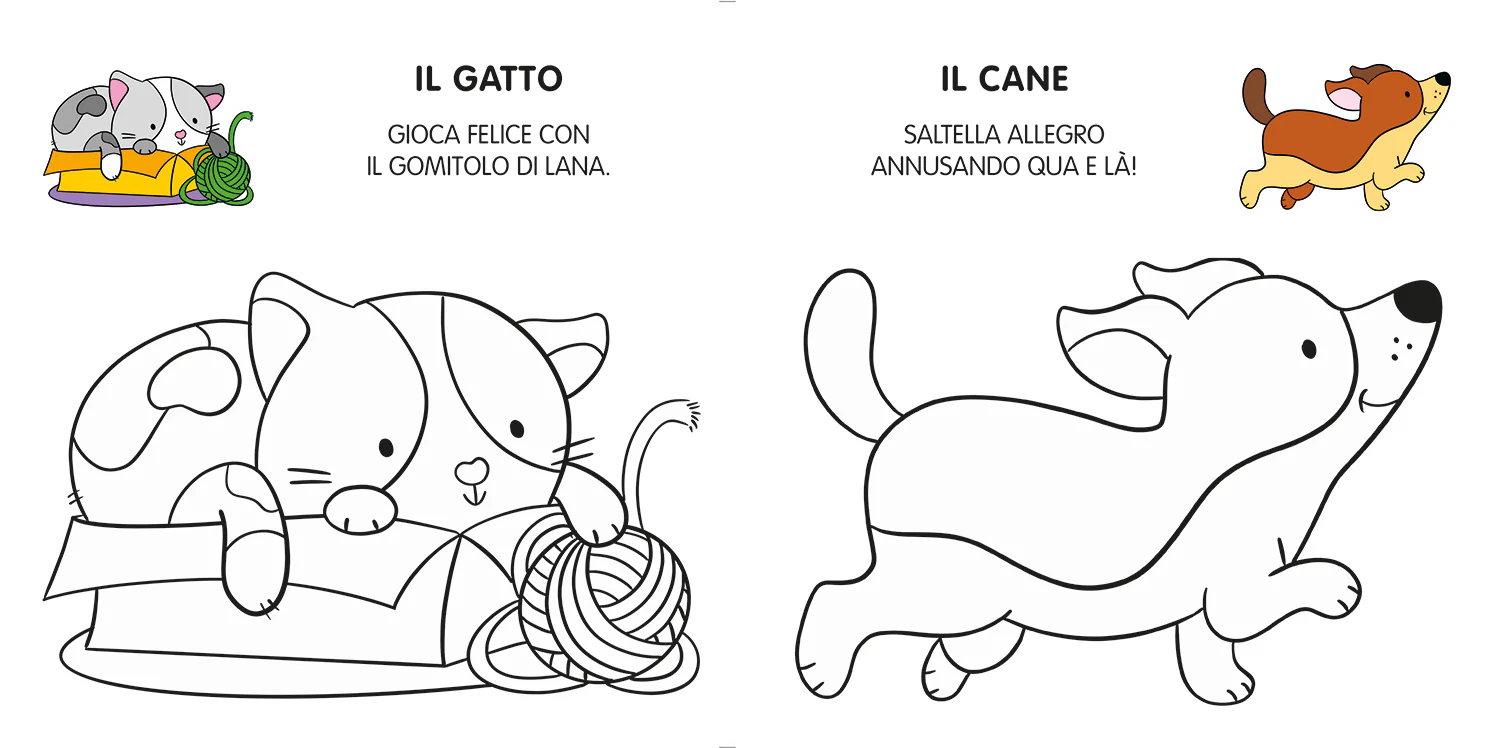 Immagine prodotto 3