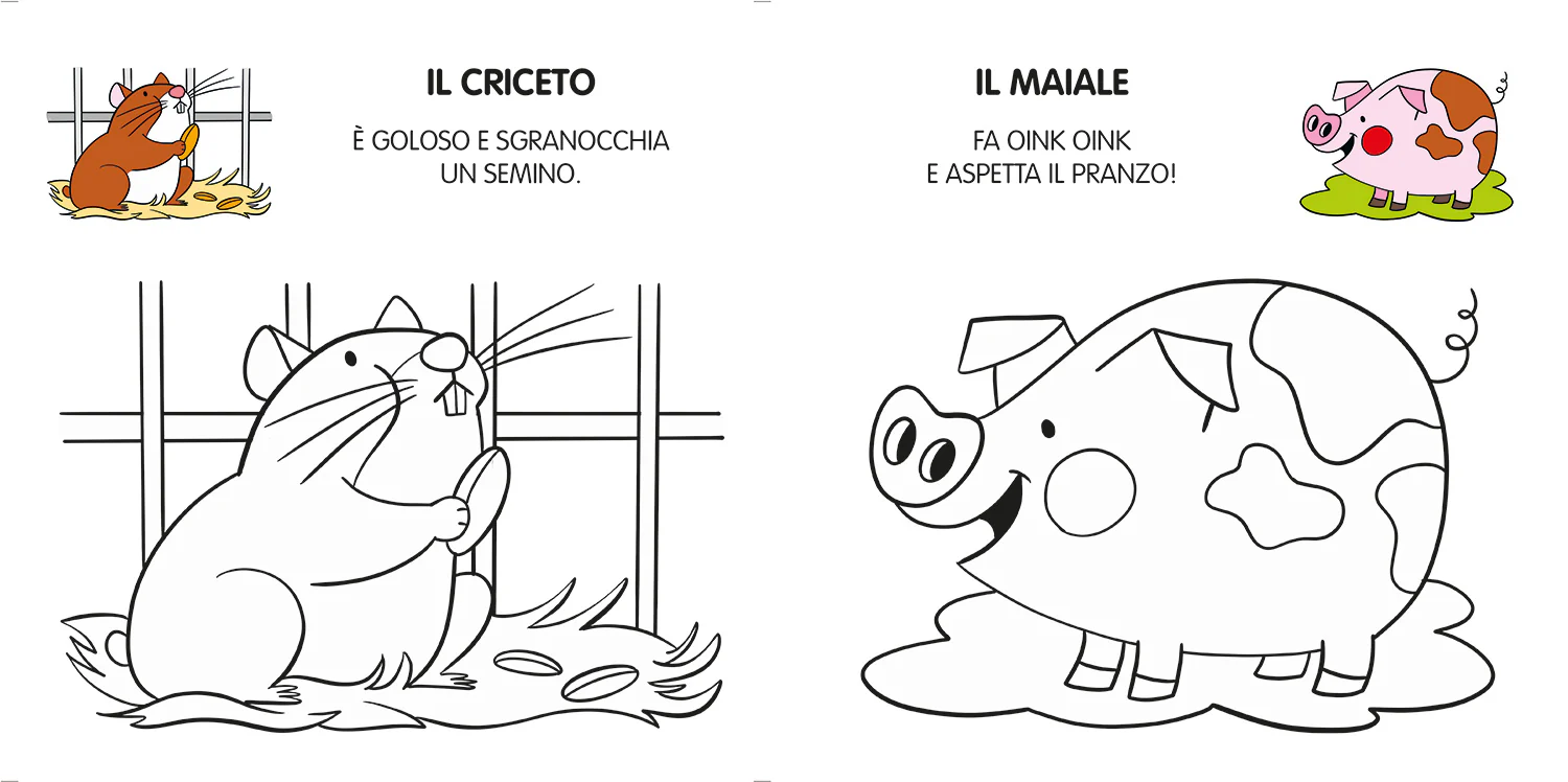 Immagine prodotto 4