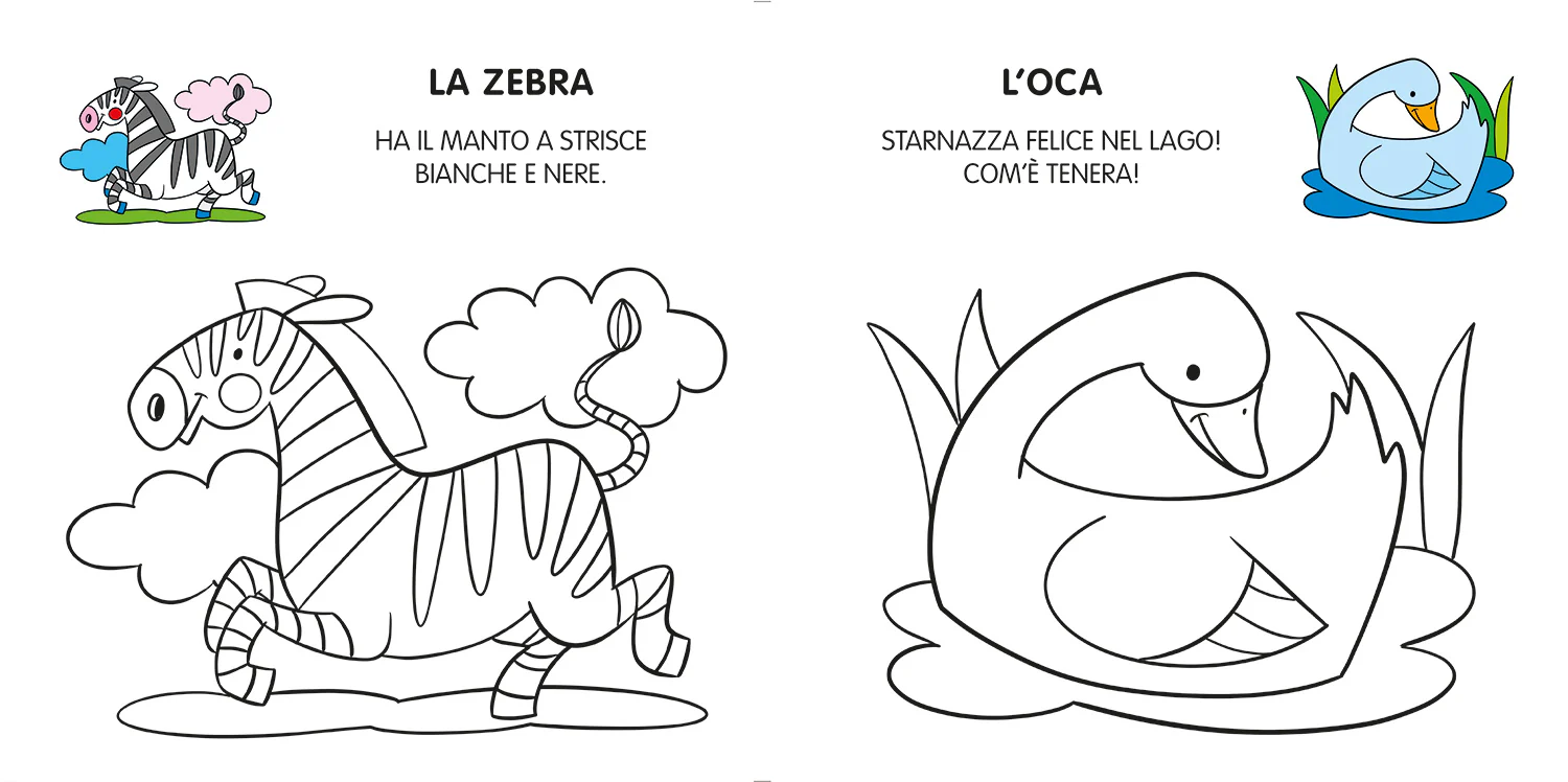 Immagine prodotto 5