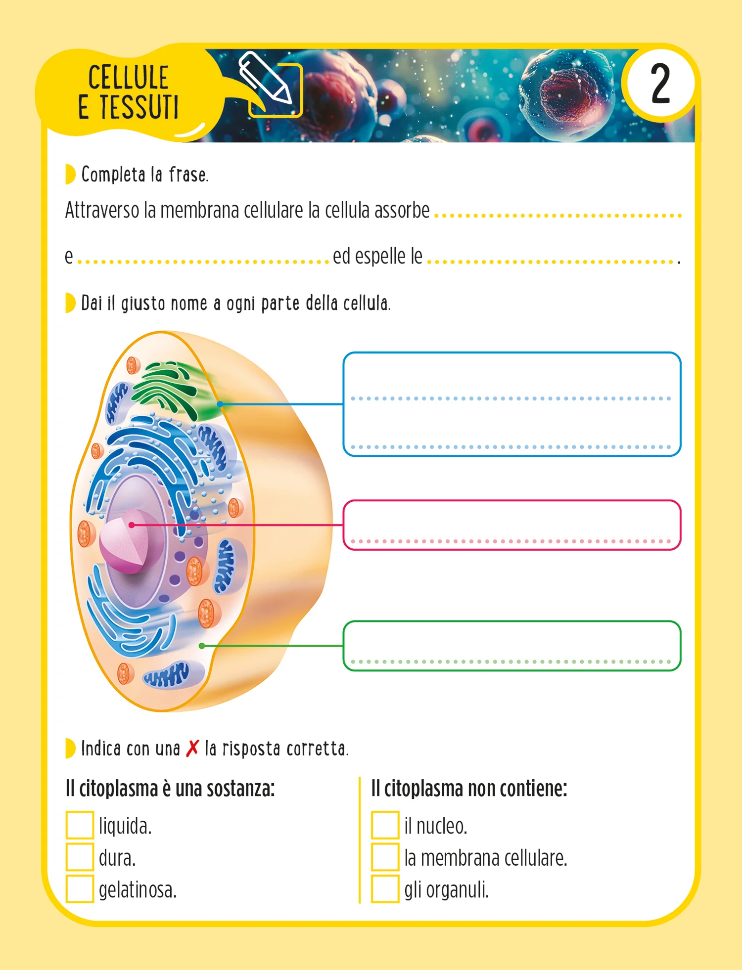 Immagine prodotto 4