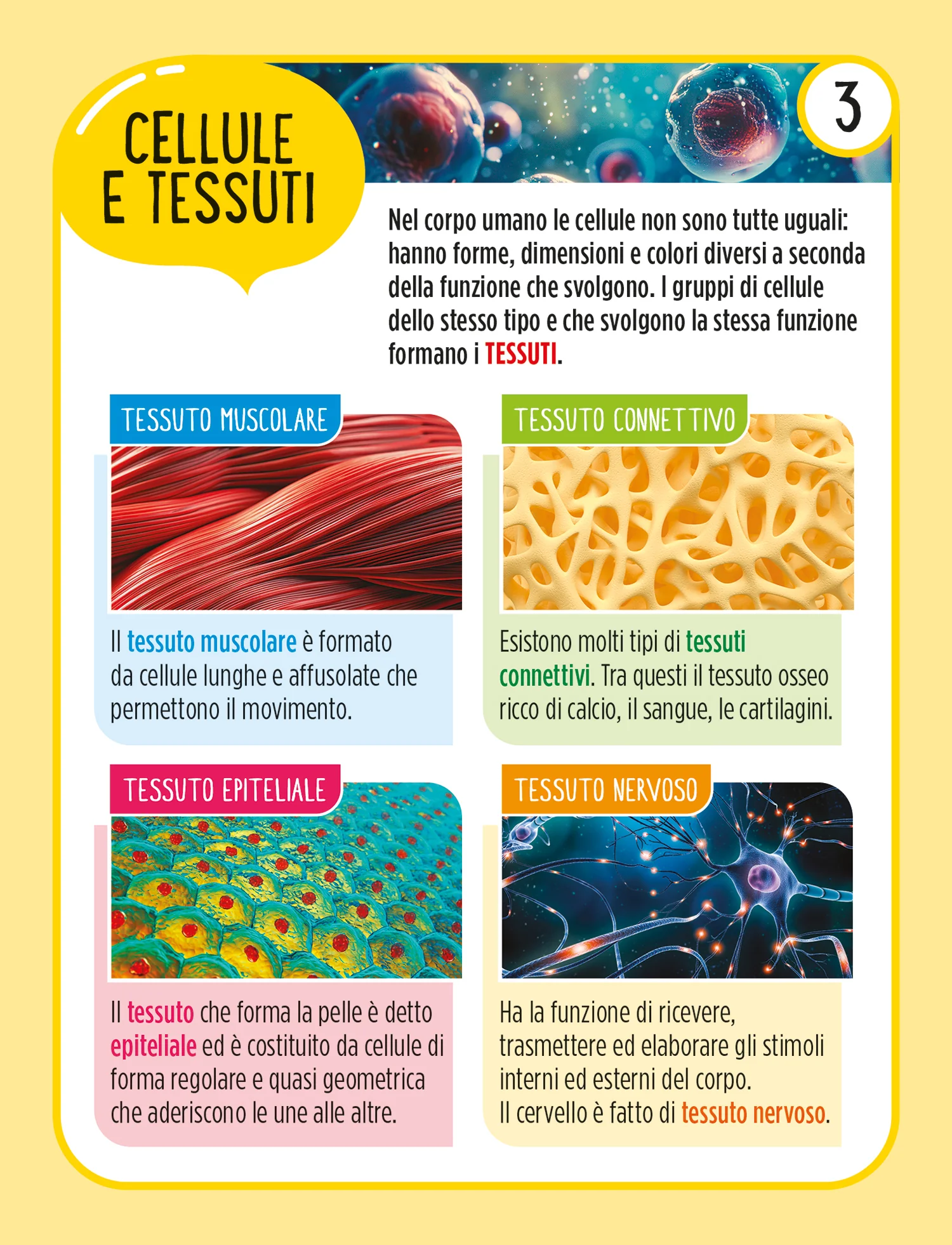Immagine prodotto 5