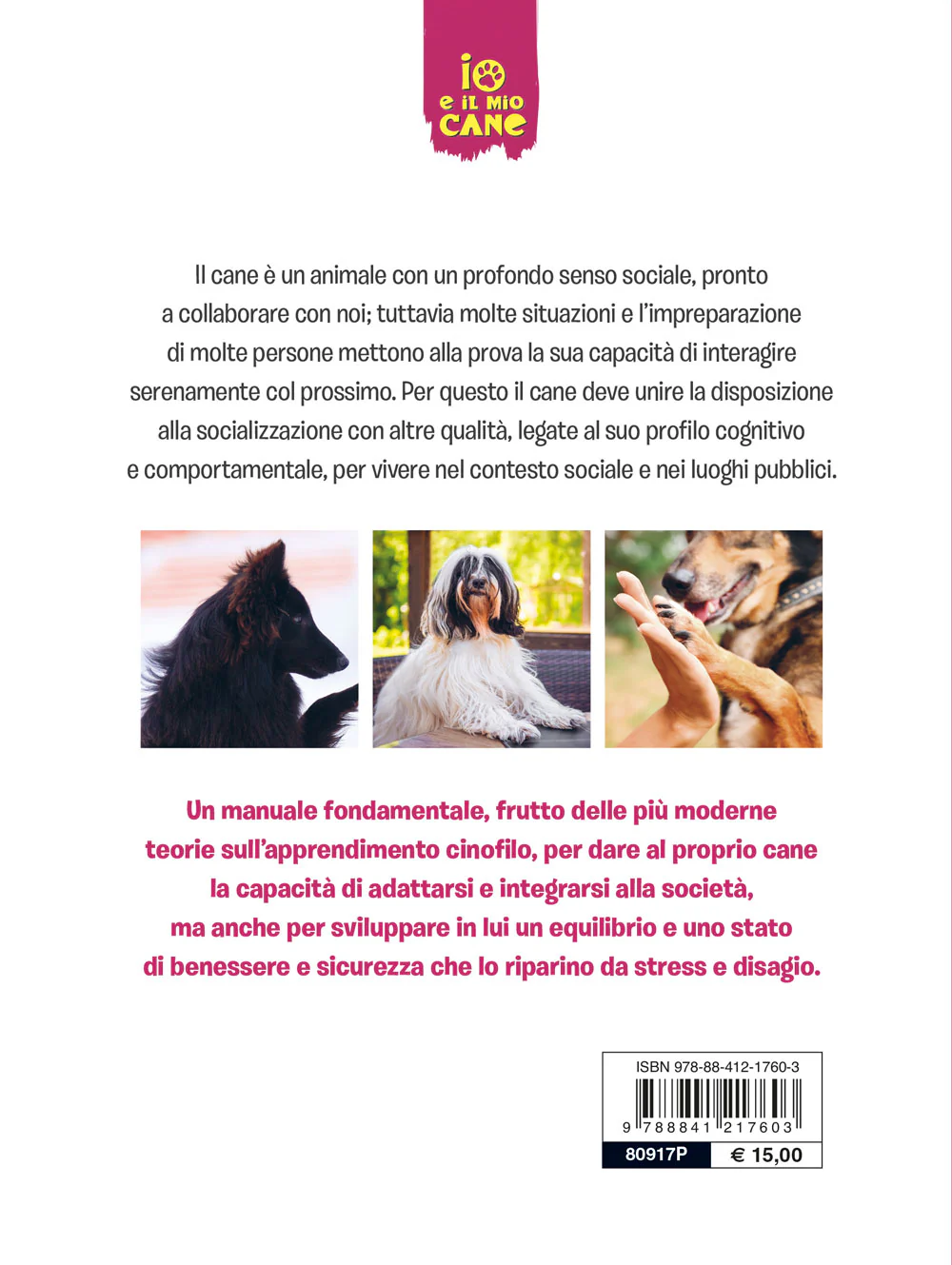 Immagine prodotto 2