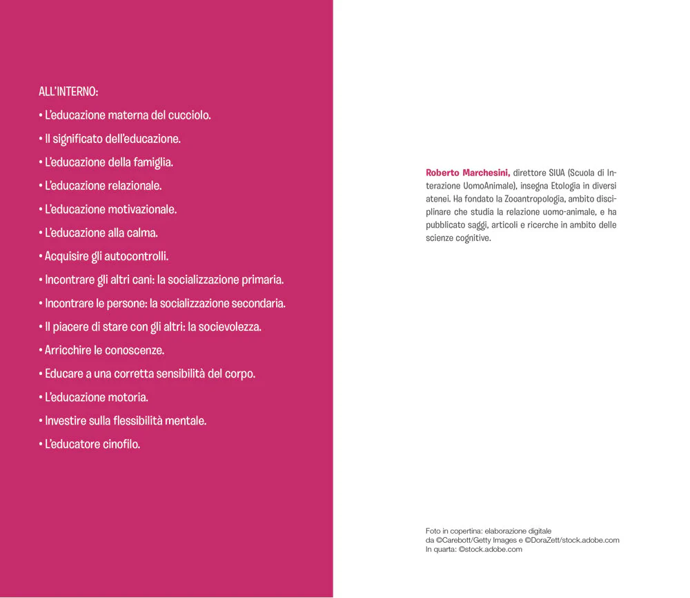 Immagine prodotto 3